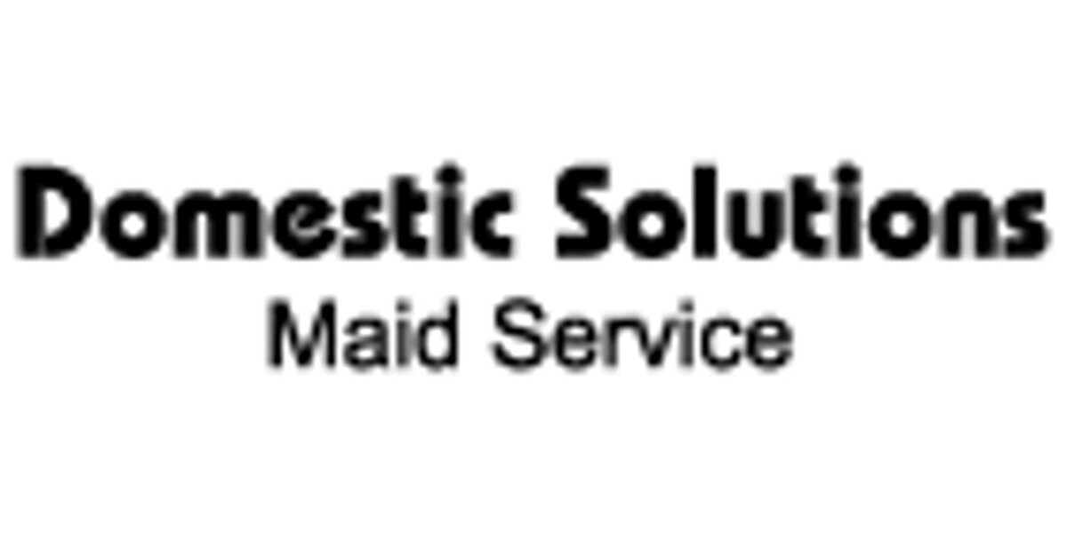 Domestic Solutions Logo