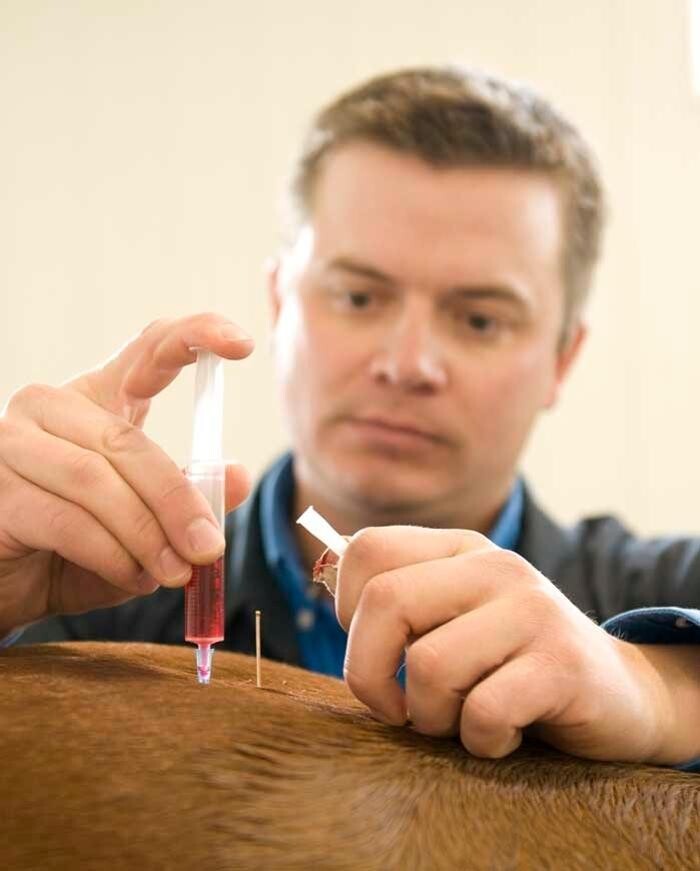 Images Prairie Animal Health Centre