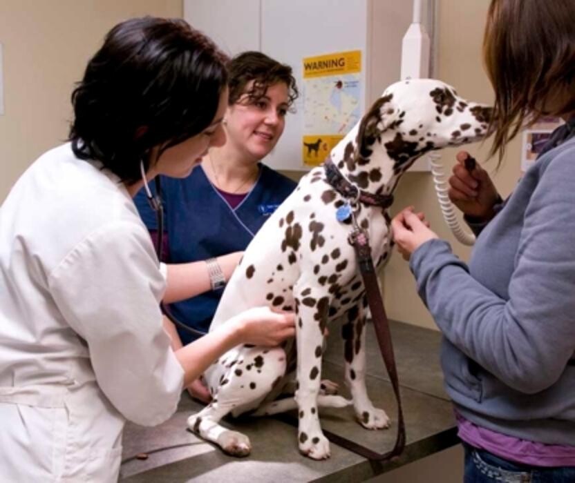 Images Prairie Animal Health Centre