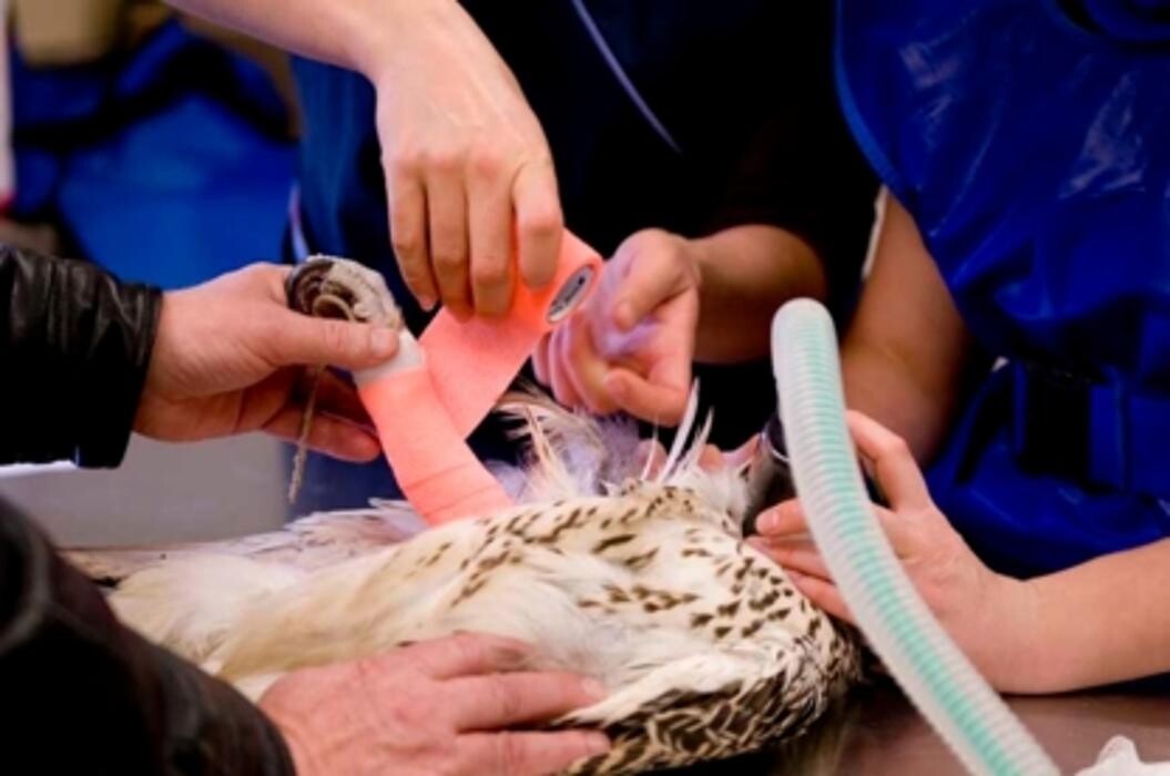 Images Prairie Animal Health Centre
