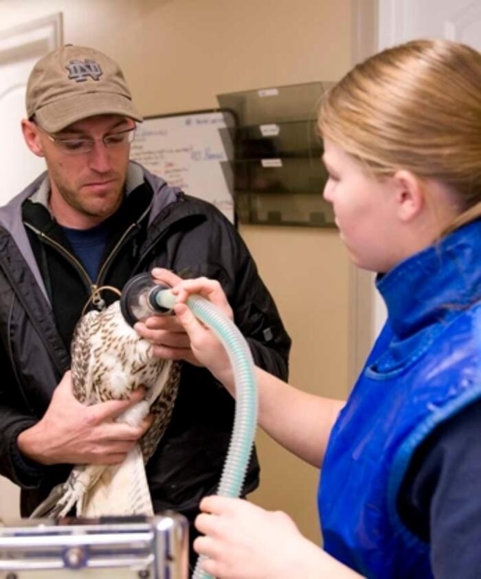 Images Prairie Animal Health Centre