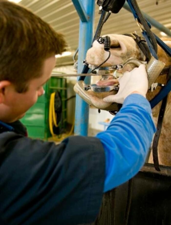 Images Prairie Animal Health Centre