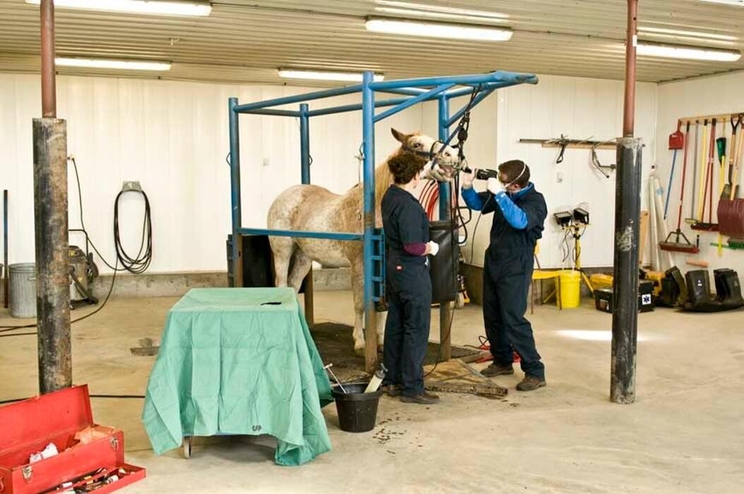 Images Prairie Animal Health Centre