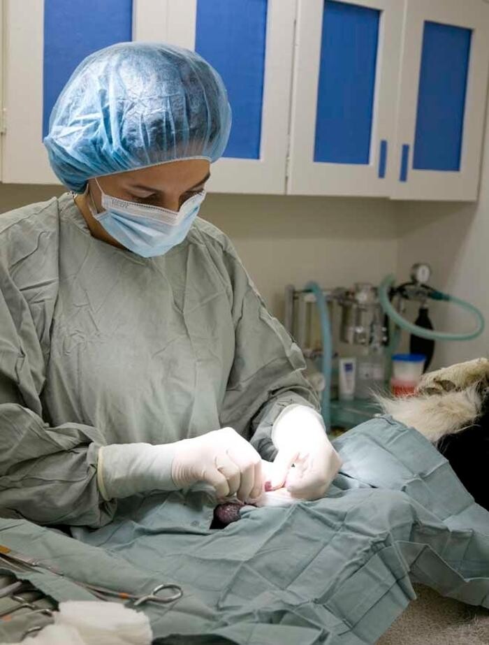 Images Prairie Animal Health Centre