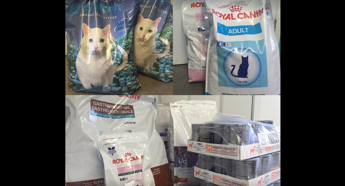 Images Second Home Pet Resort