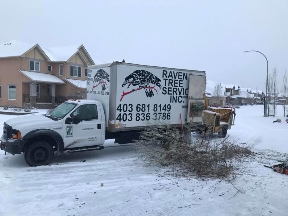 Images Raven Tree Service