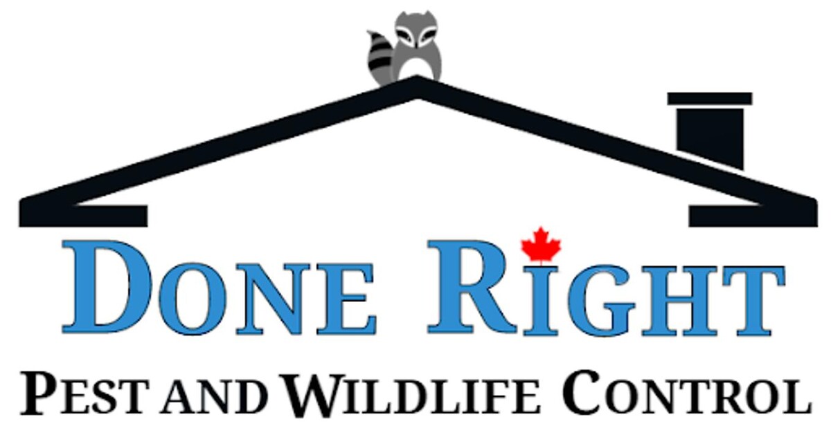 Done Right Pest and Wildlife Control Logo