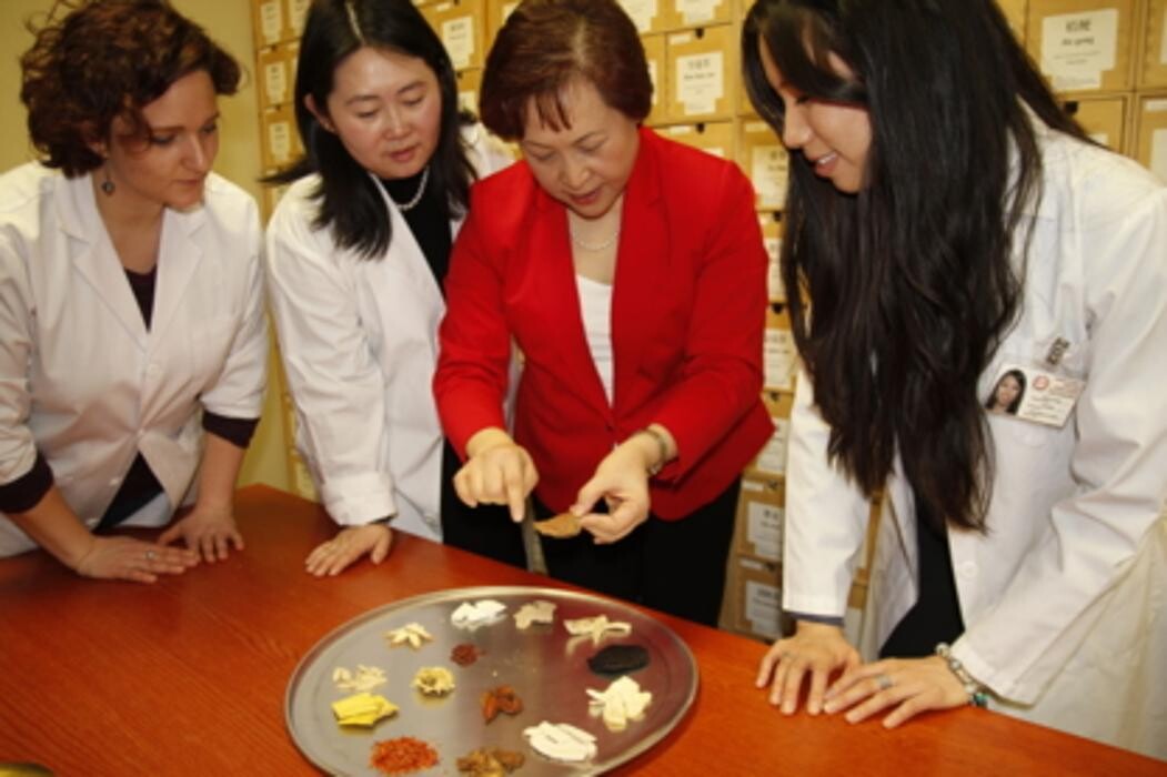 Images Toronto School of Traditional Chinese Medicine