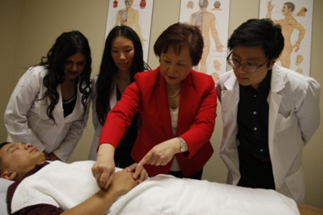 Images Toronto School of Traditional Chinese Medicine