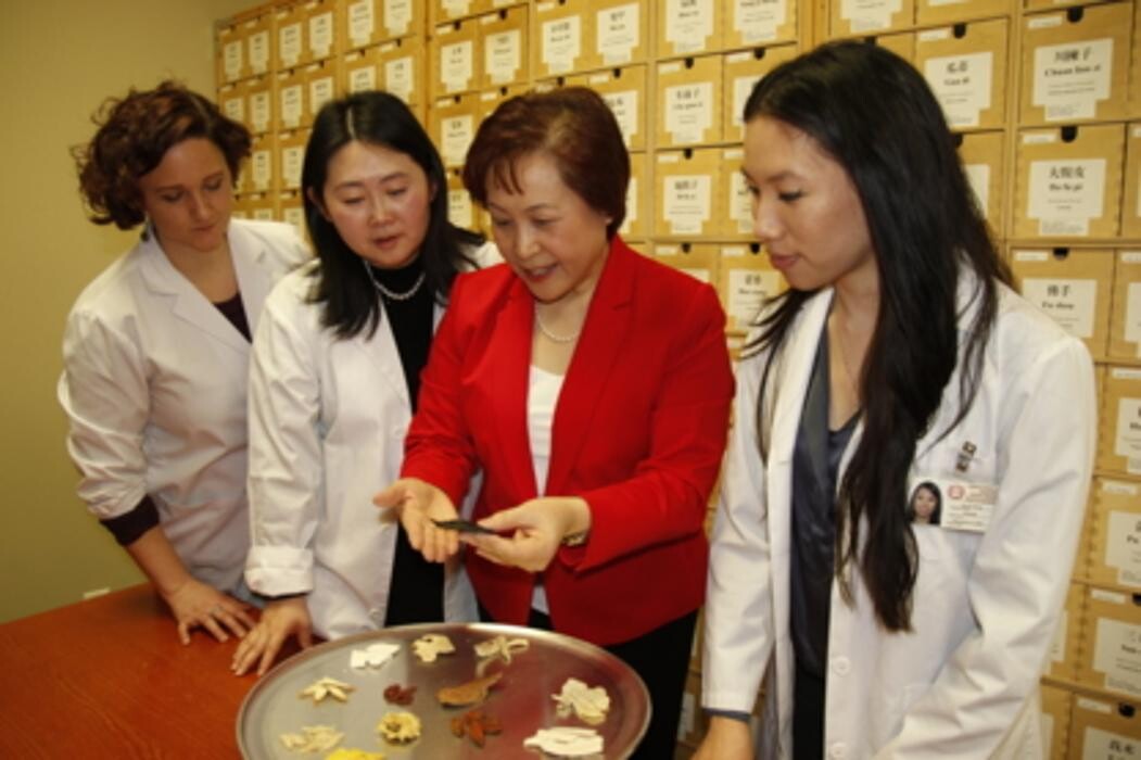 Images Toronto School of Traditional Chinese Medicine