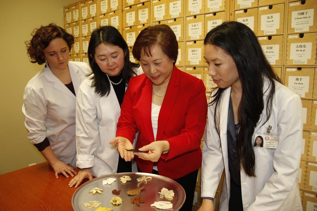 Images Toronto School of Traditional Chinese Medicine