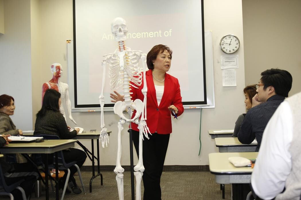 Images Toronto School of Traditional Chinese Medicine