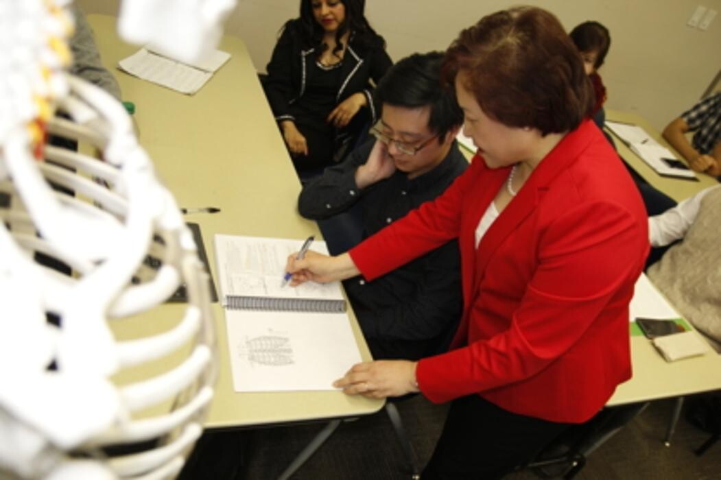 Images Toronto School of Traditional Chinese Medicine