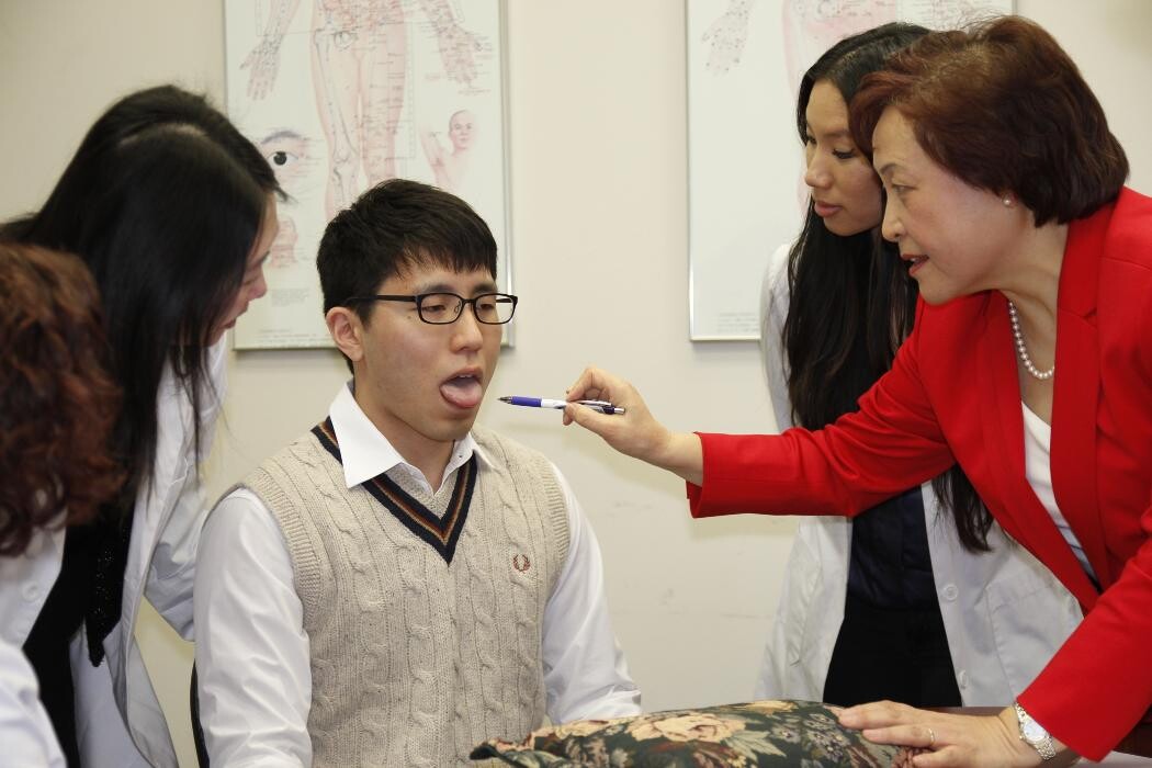 Images Toronto School of Traditional Chinese Medicine