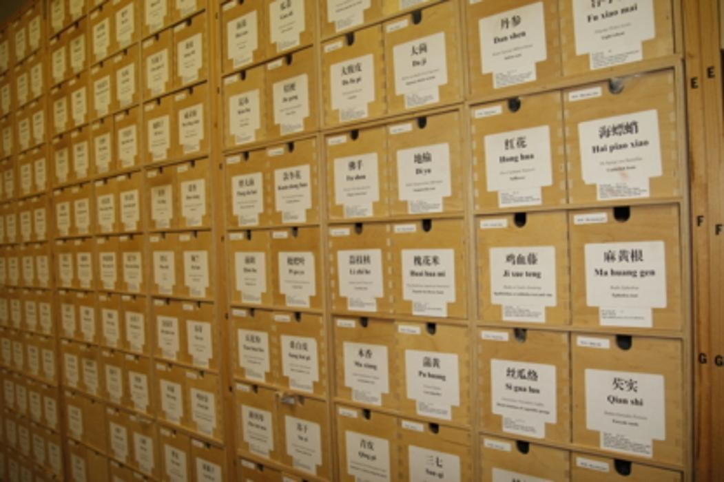 Images Toronto School of Traditional Chinese Medicine