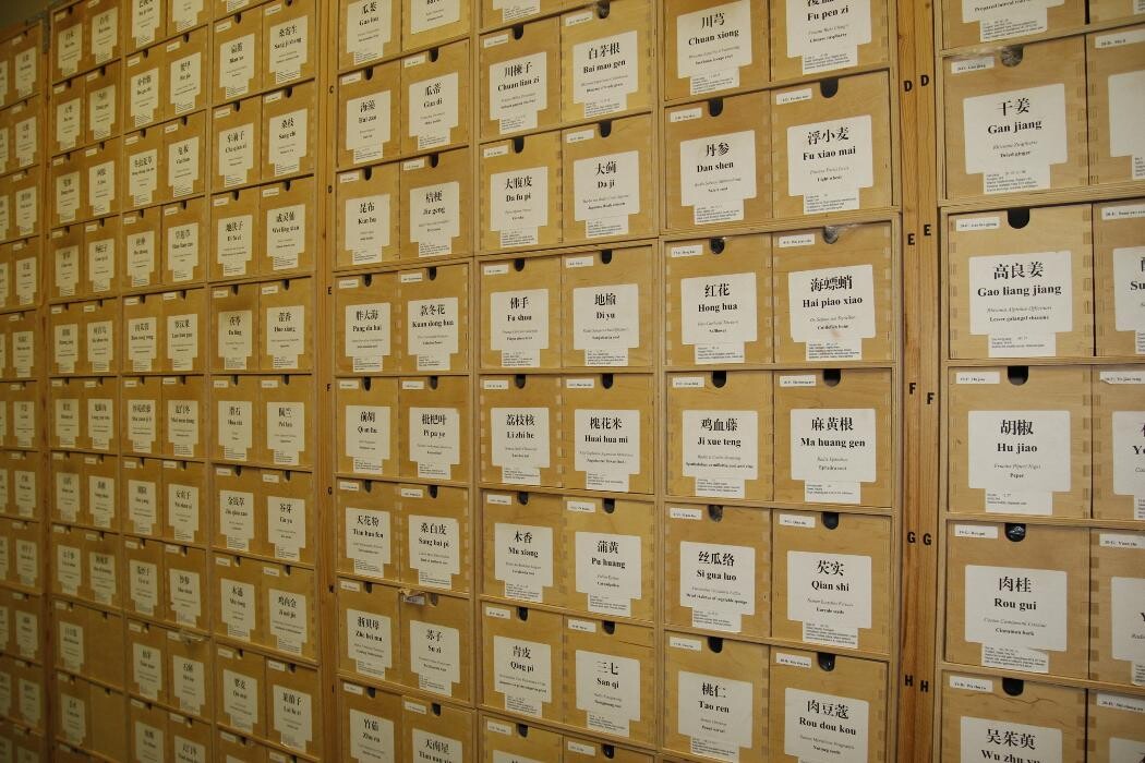 Images Toronto School of Traditional Chinese Medicine