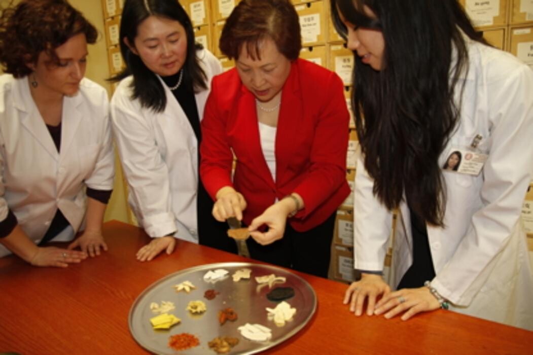 Images Toronto School of Traditional Chinese Medicine