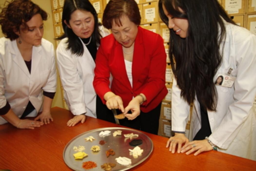 Images Toronto School of Traditional Chinese Medicine