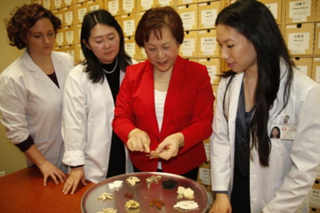 Images Toronto School of Traditional Chinese Medicine