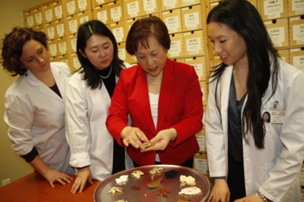 Images Toronto School of Traditional Chinese Medicine