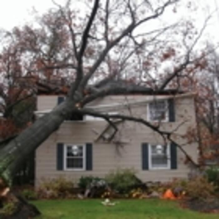 Images Stutters Disaster Kleenup