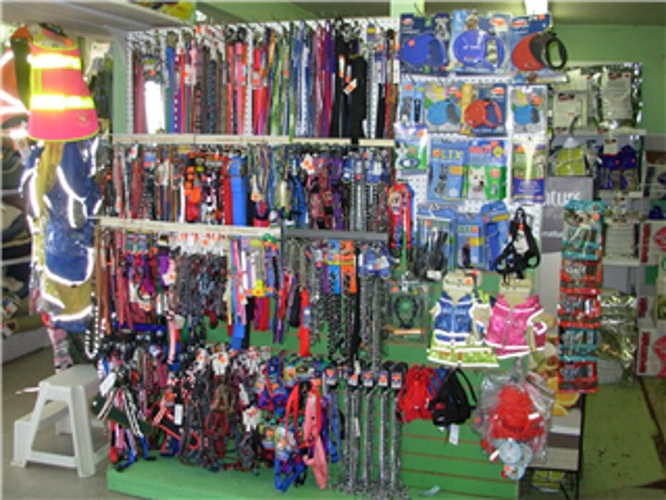 Images Pet Junction Grooming & Supplies