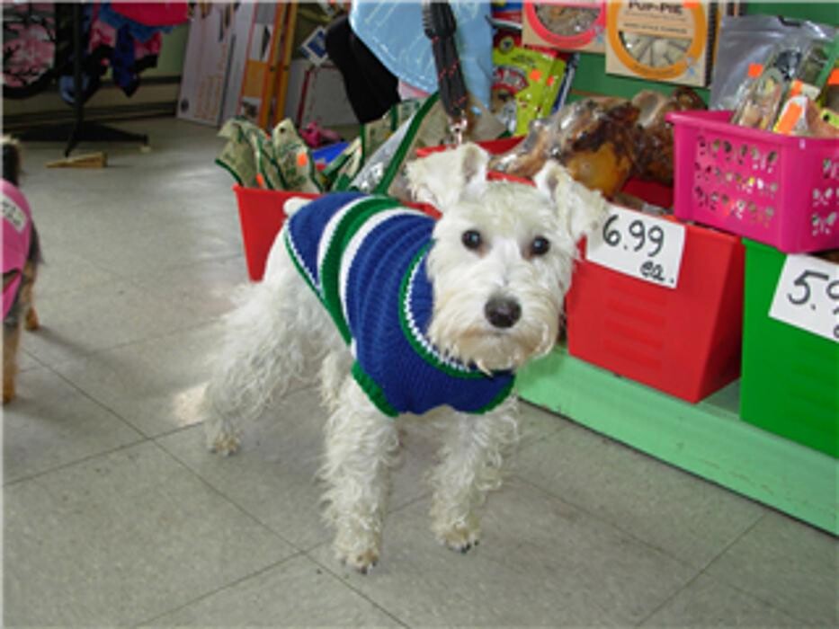 Images Pet Junction Grooming & Supplies