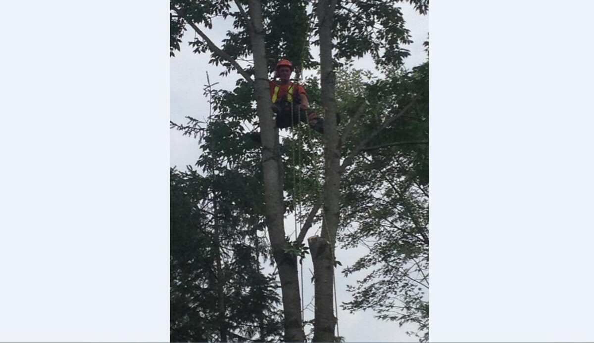 Images Kearns Tree Service