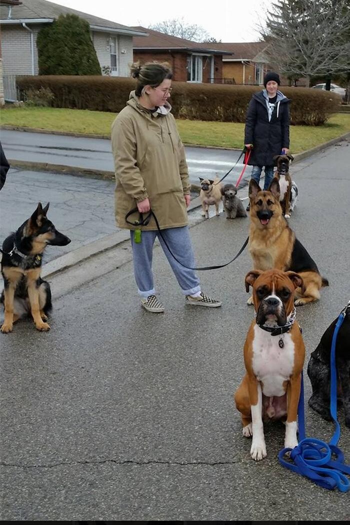 Images Canine Balance Training Inc