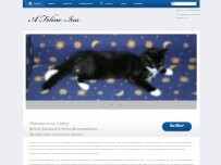 Website Screenshot A Feline Inn