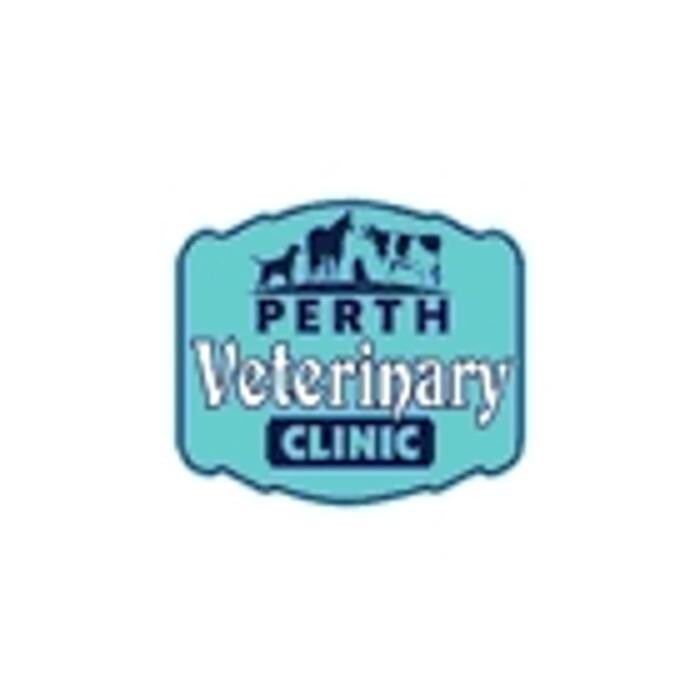 Images Westport Veterinary Clinic