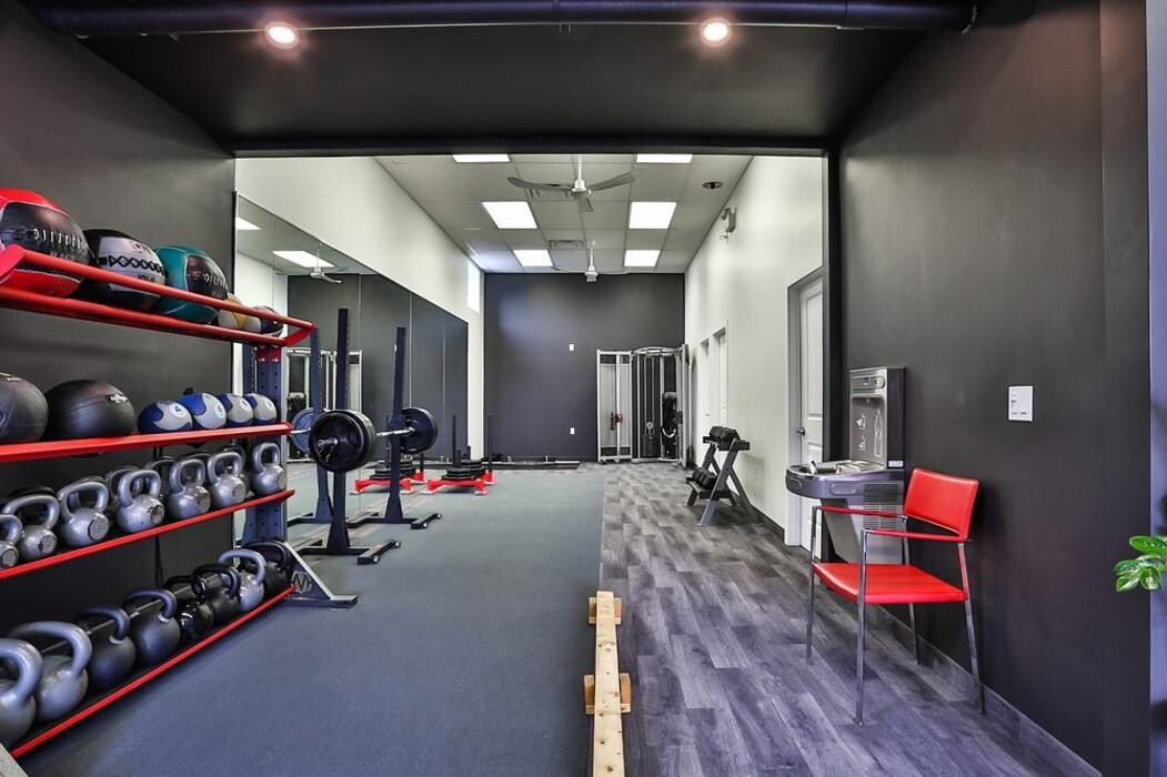 Images COMphysio + Performance Wellness