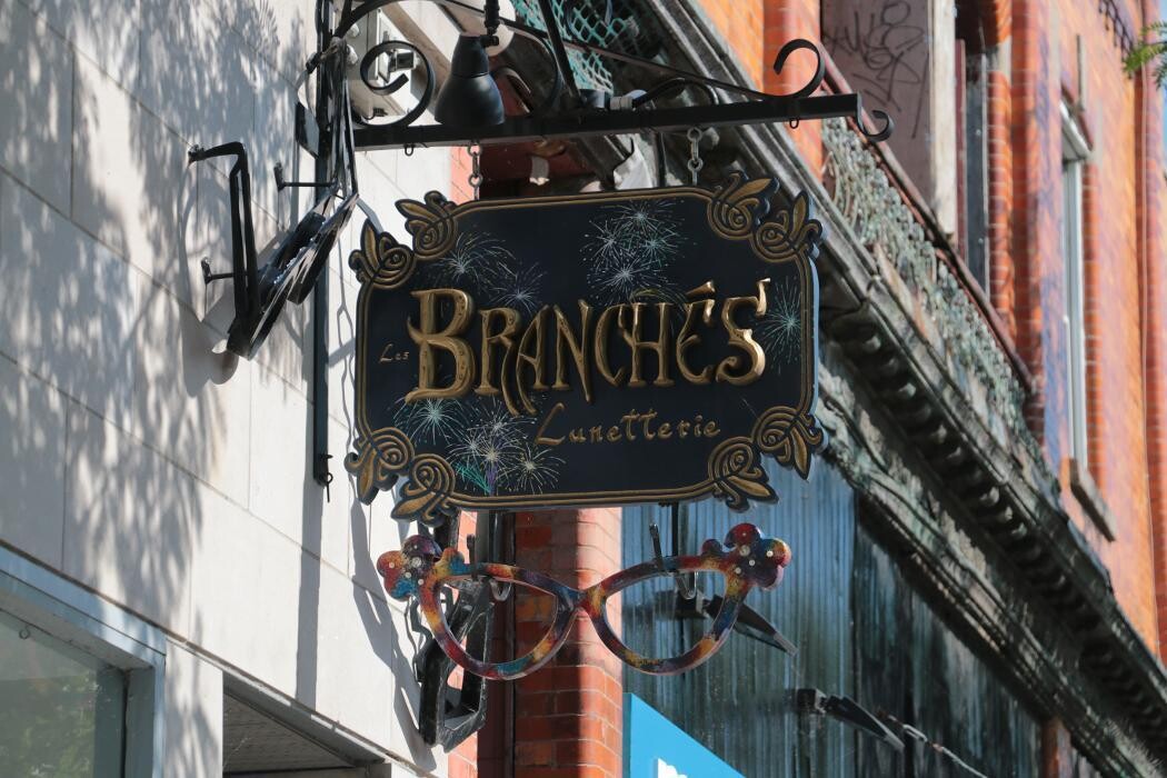 Images Les Branchés Lunetterie | Le Plateau