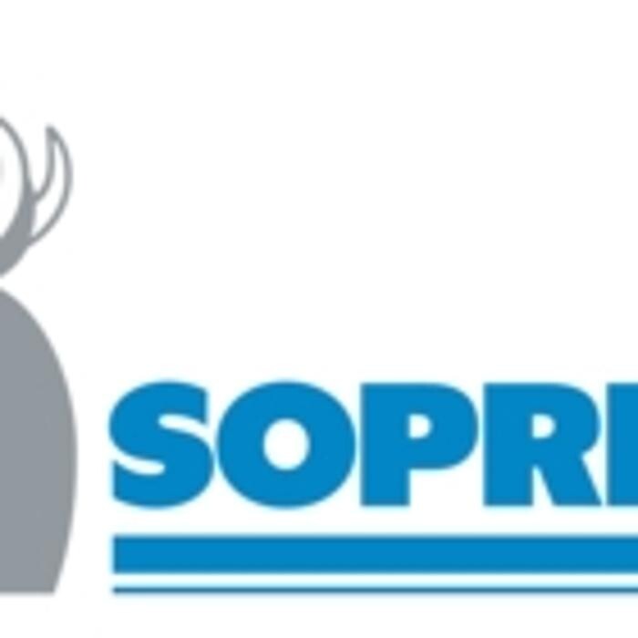 Images Kingsville Roofing Ltd