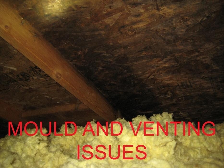 Images Stinger Home Inspections