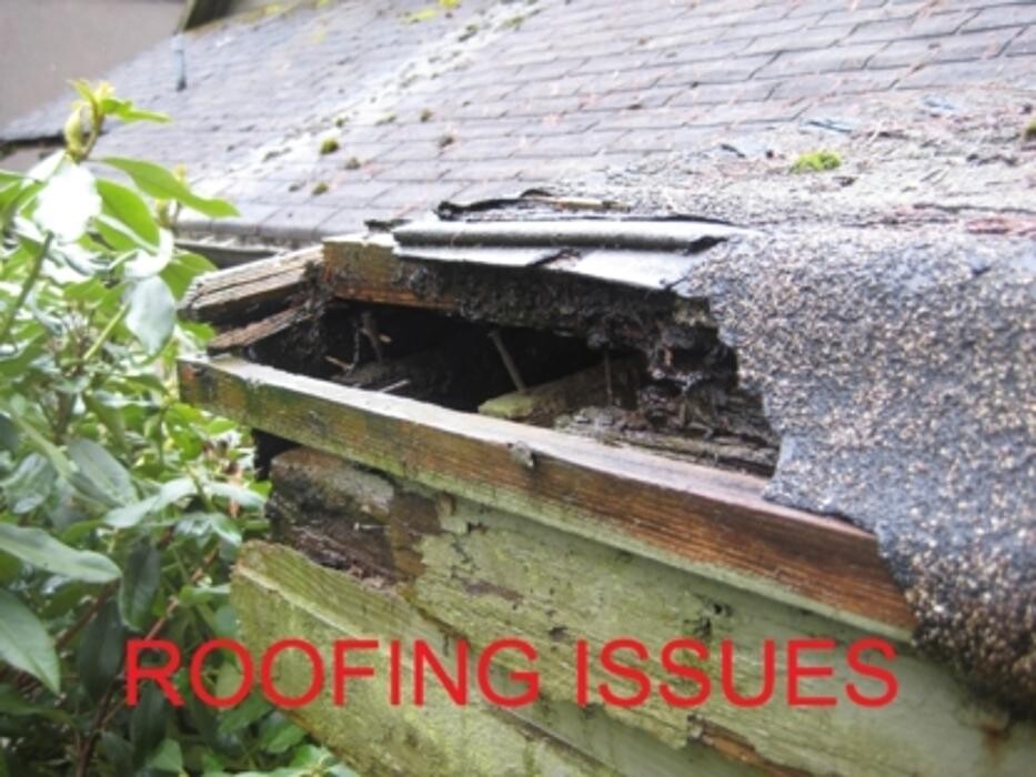 Images Stinger Home Inspections