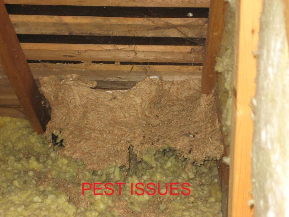 Images Stinger Home Inspections