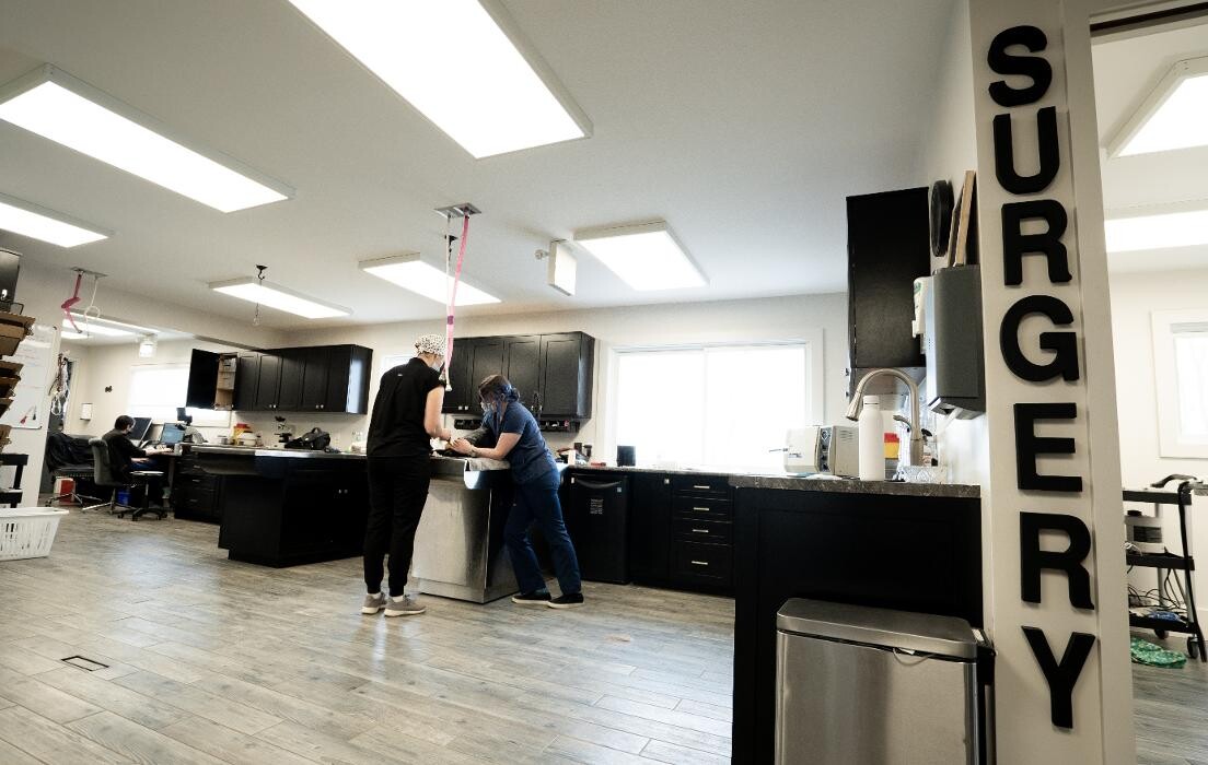 Images Aldergrove Animal Clinic