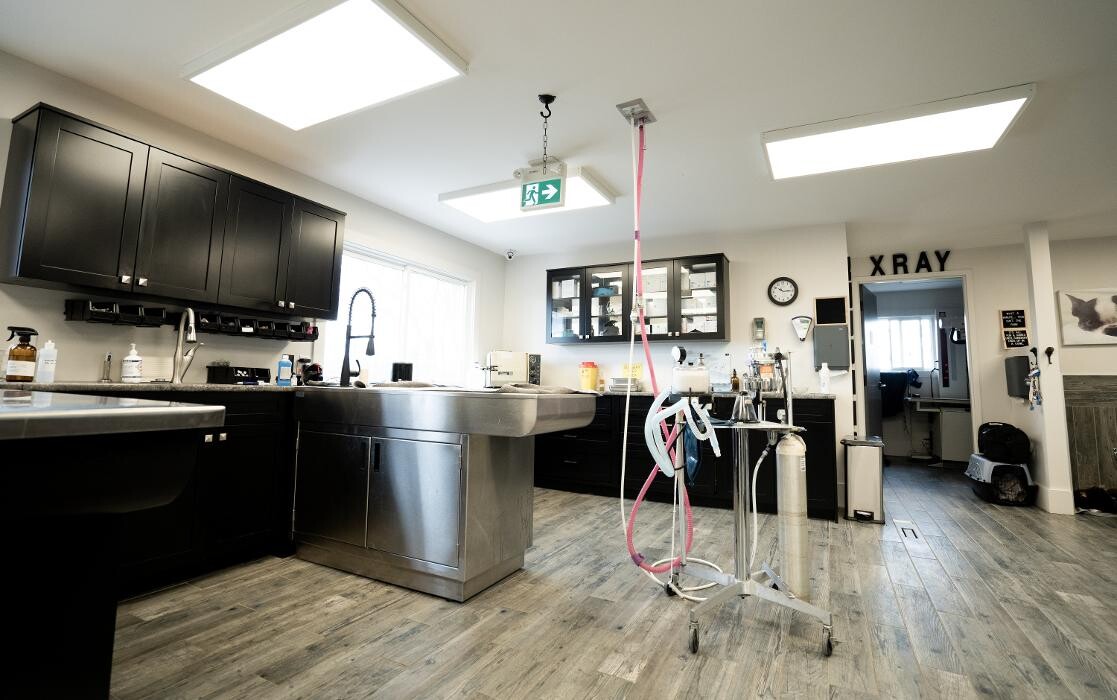 Images Aldergrove Animal Clinic