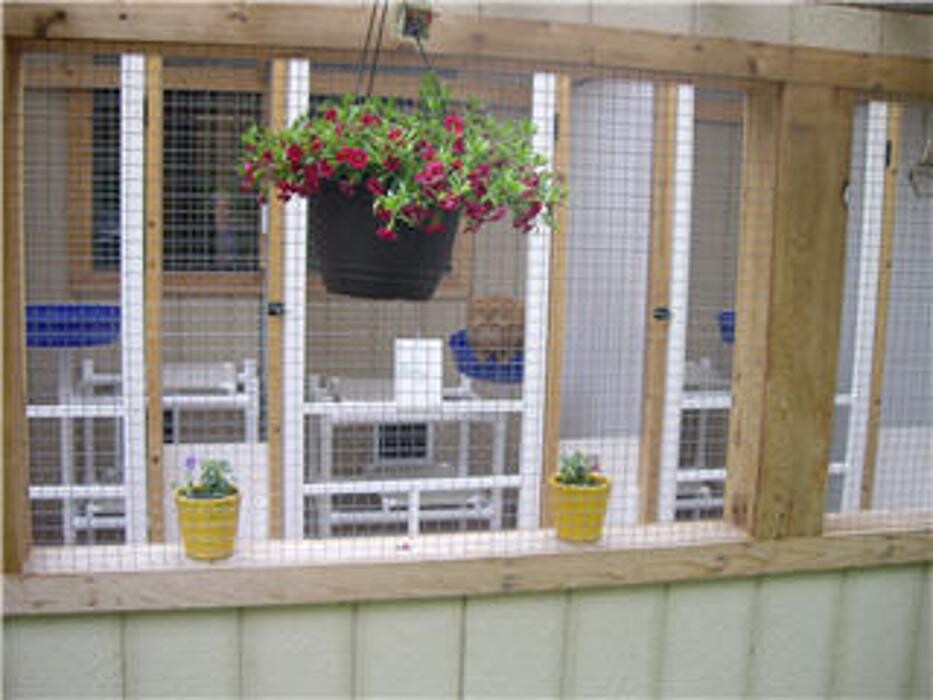 Images Blackberry Hill Kitty Kottage