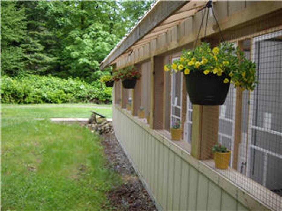 Images Blackberry Hill Kitty Kottage