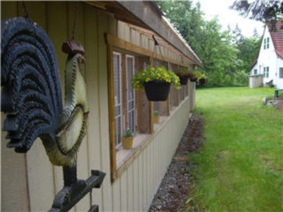 Images Blackberry Hill Kitty Kottage