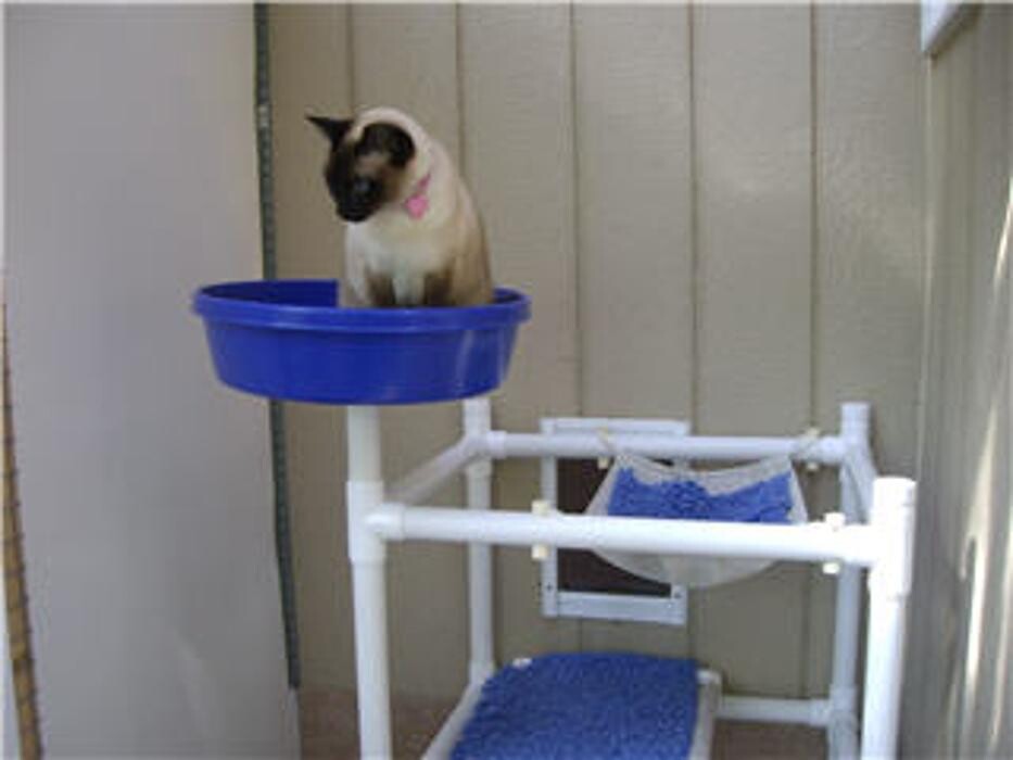 Images Blackberry Hill Kitty Kottage