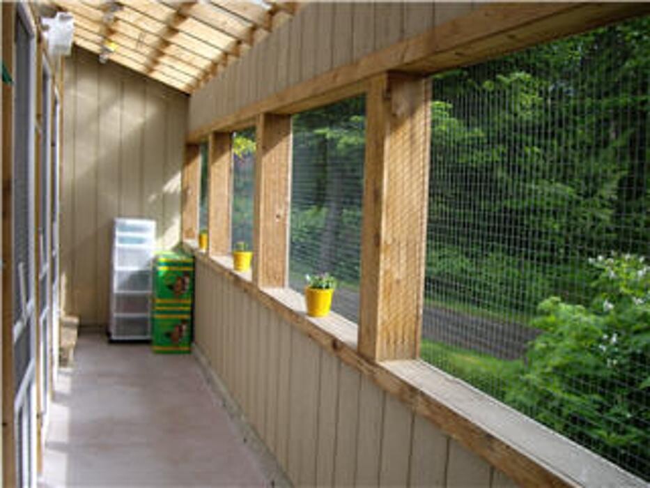 Images Blackberry Hill Kitty Kottage