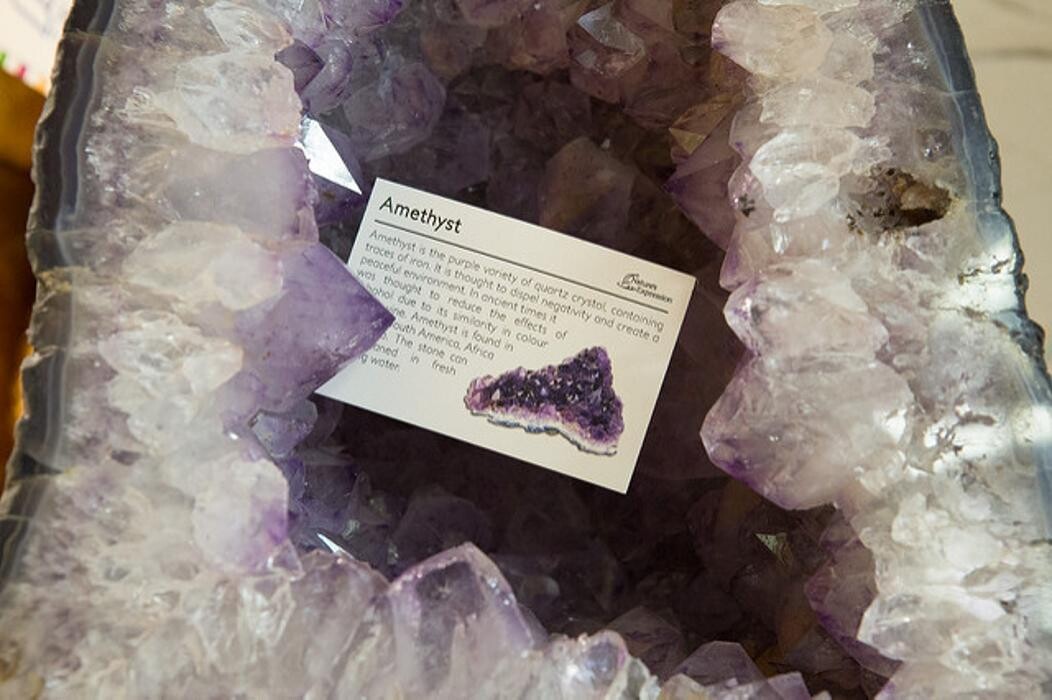 Images Classics Organics Fax