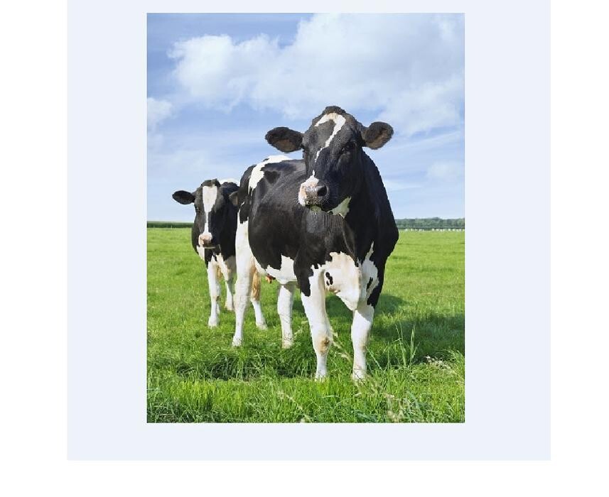 Images McGregor Veterinary Services