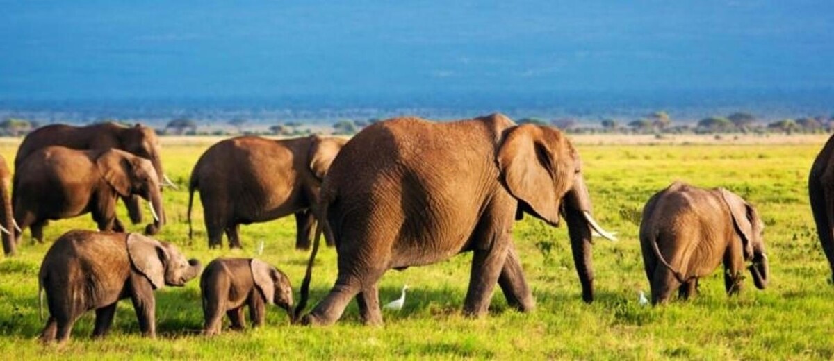 Images iLand Luxury Travel