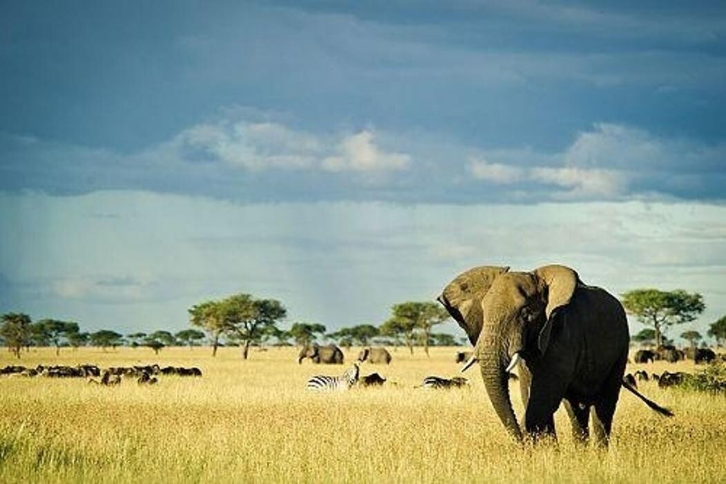 Images iLand Luxury Travel