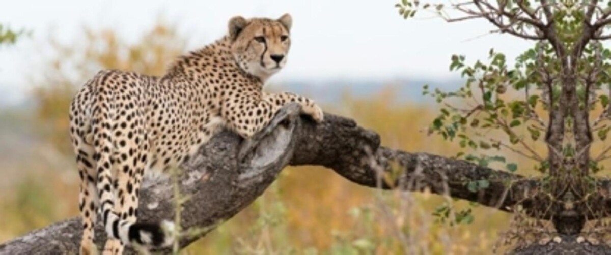 Images iLand Luxury Travel
