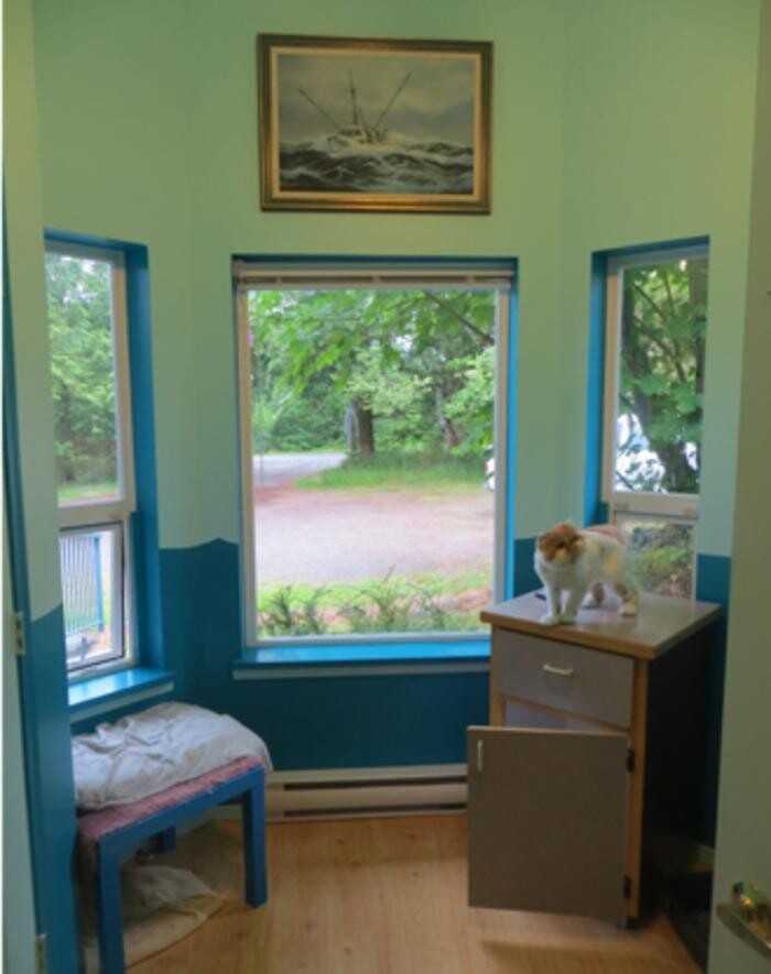 Images Cozy Cats Cottage
